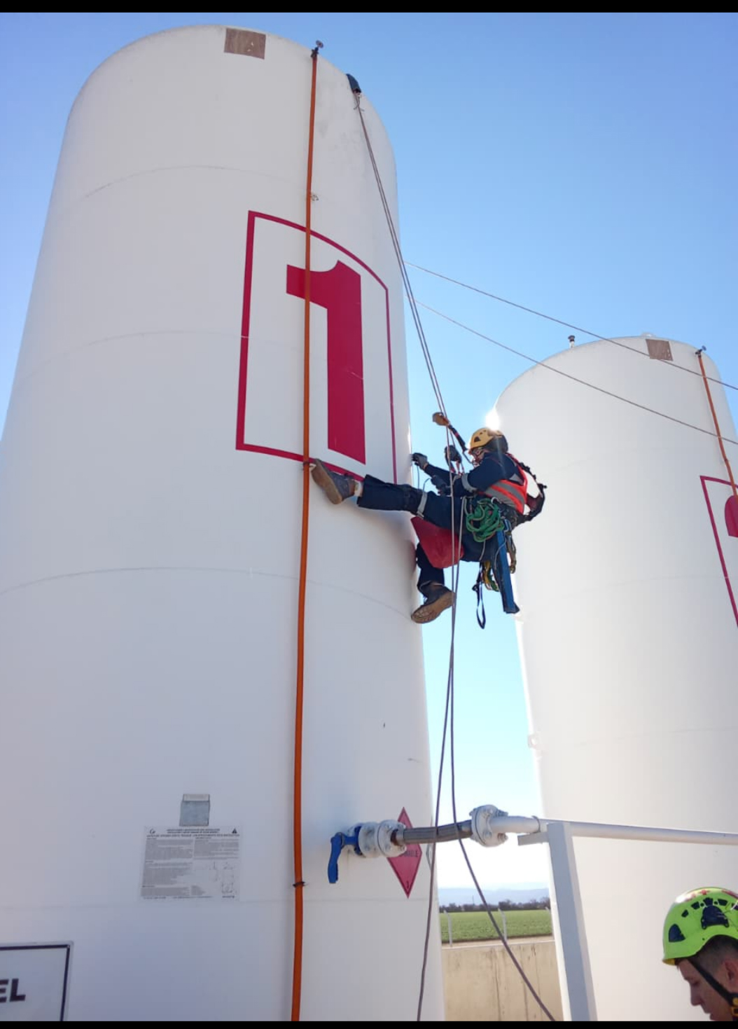 Trabajo 11